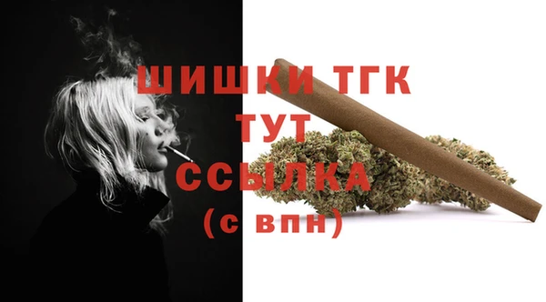 таблы Алзамай