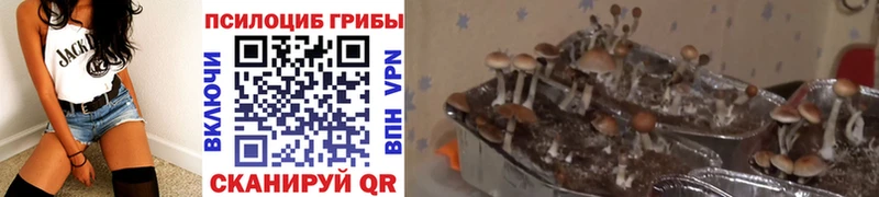 Галлюциногенные грибы ЛСД цена Фролово