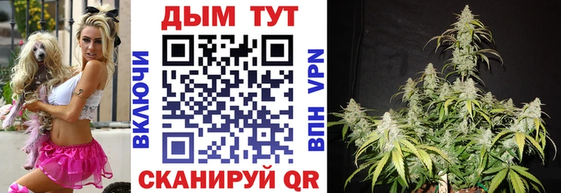 Конопля Ganja  Фролово 